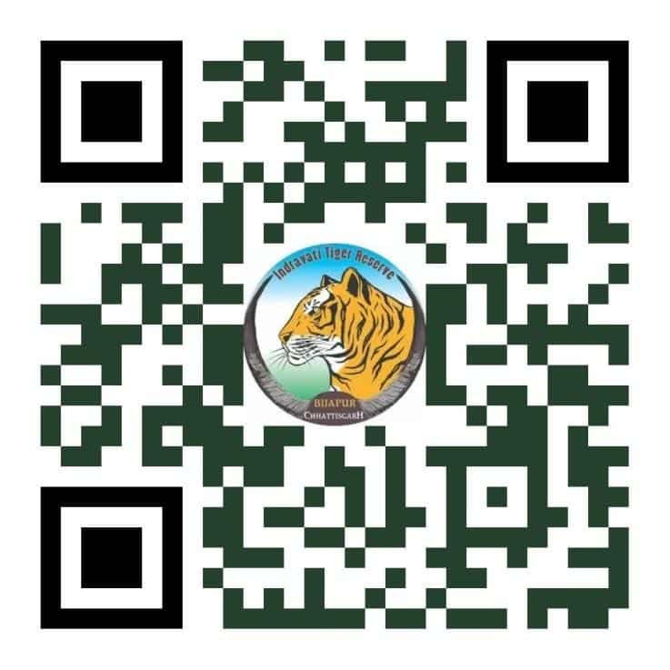 अंतरराष्ट्रीय बाघ दिवस पर ‘रन फॉर इंद्रावती’ मैराथन का आयोजन