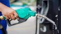 सुप्रीम कोर्ट ने BPCL से जुड़े कर्नाटक हाईकोर्ट के आदेश पर रोक लगाई