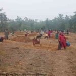 मनरेगा से निम्मलगुड़ा में हुआ विकास