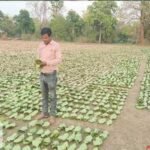 तेन्दूपत्ता संग्रहण की नई पहल से अबुझमाड़ के 22 गांव लाभान्वित