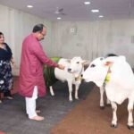 उपमुख्यमंत्री अरुण साव ने प्रदेशवासियों को दी हरेली की बधाई