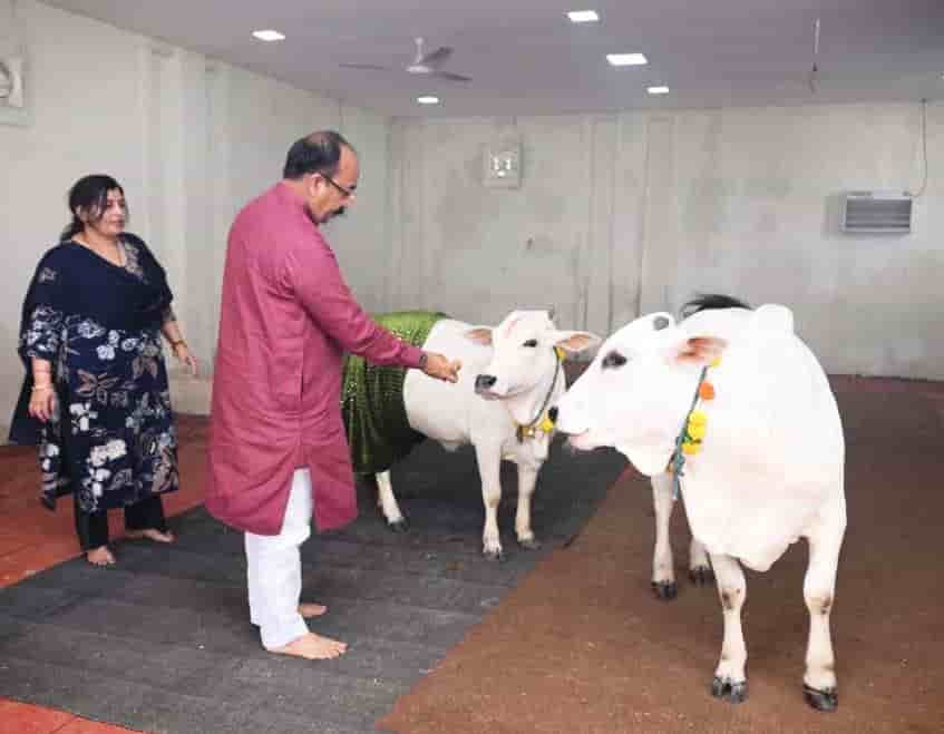 उपमुख्यमंत्री अरुण साव ने प्रदेशवासियों को दी हरेली की बधाई
