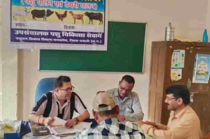 पशुपालन KCC से धमतरी के 93 पशुपालकों को मिली 98.62 लाख की वित्तीय सहायता