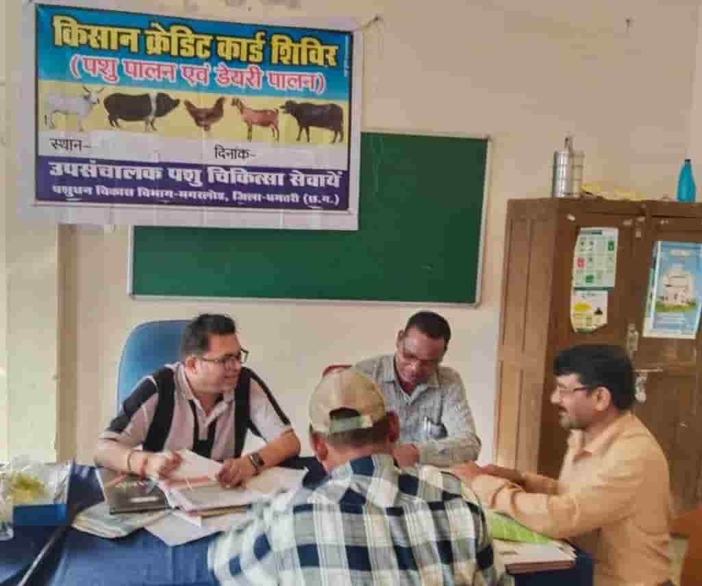 पशुपालन KCC से धमतरी के 93 पशुपालकों को मिली 98.62 लाख की वित्तीय सहायता