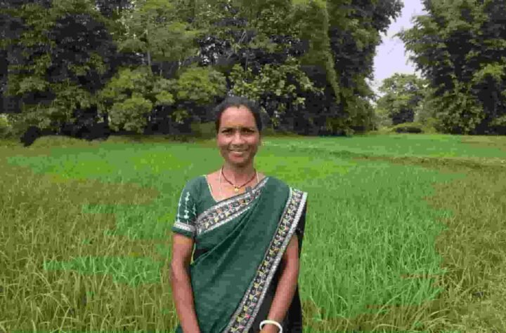 बिहान से आत्मनिर्भर बनीं शकुंतला राजवाड़े, कम लागत की खेती से बढ़ी आय