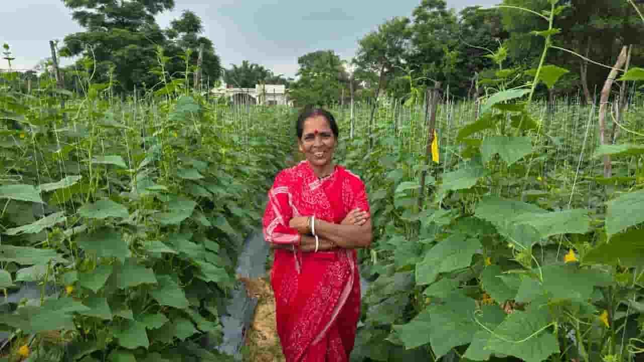 बिहान से आर्थिक संबल पाकर खीरे की खेती से सुभद्रा मंडल बनीं आत्मनिर्भर