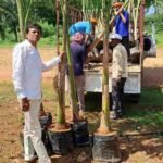 अहिवारा में 77 पाम वृक्षों और हजारों दीपों से सजेगा अटल परिसर