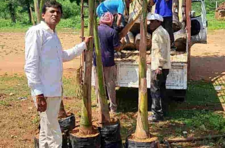अहिवारा में 77 पाम वृक्षों और हजारों दीपों से सजेगा अटल परिसर