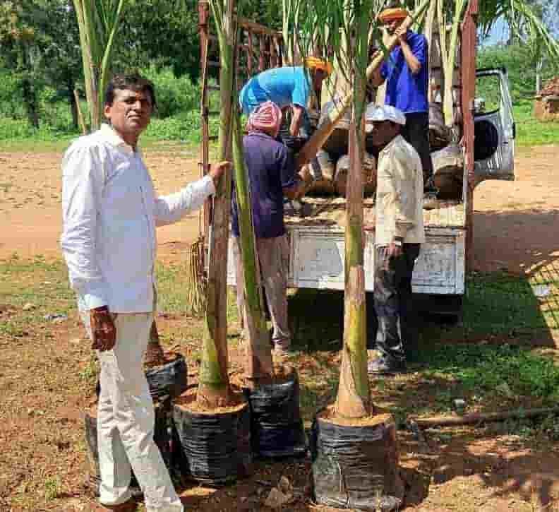 अहिवारा में 77 पाम वृक्षों और हजारों दीपों से सजेगा अटल परिसर