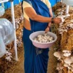 माटी से मशरूम तक सफलता की खुशबू, मिथिला दीदी ने रचा आत्मनिर्भरता का नया अध्याय