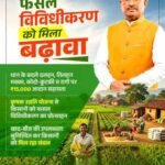 आधुनिक और नगदी फसलों की खेती से किसानों की आय में बढ़ोतरी