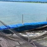 मत्स्य संपदा योजना से मल्हनिया जलाशय के मछुआरों को मिला लाभ