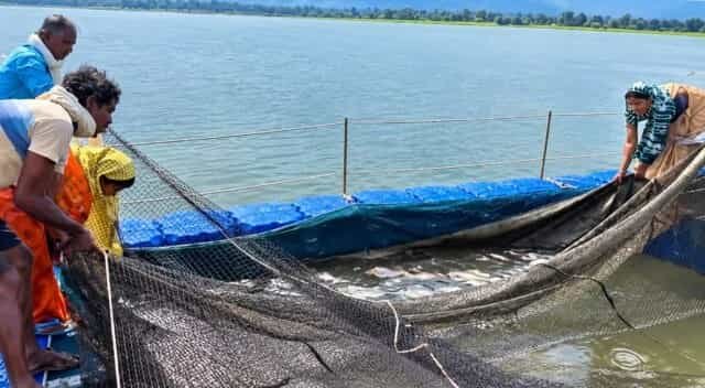 मत्स्य संपदा योजना से मल्हनिया जलाशय के मछुआरों को मिला लाभ
