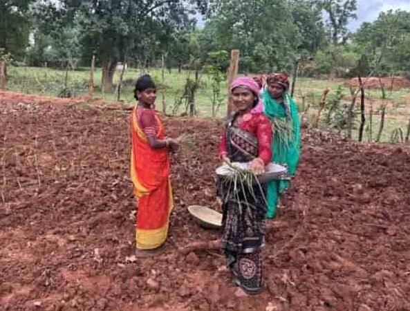 छत्तीसगढ़ में सिंचाई सुविधाओं और विकास को बढ़ावा